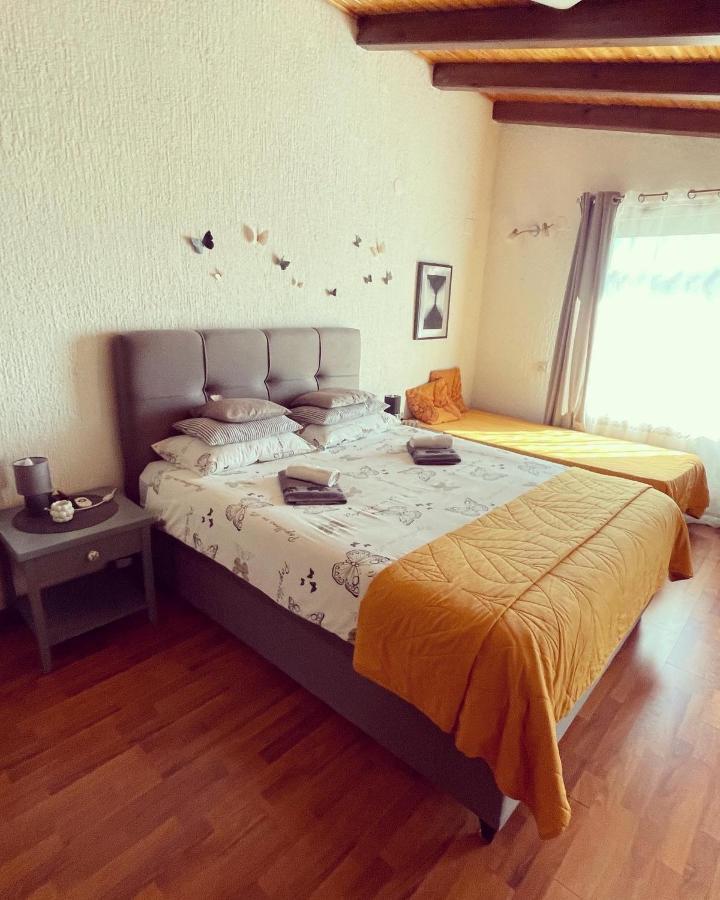 Lux Apartment Barbara Poreč Dış mekan fotoğraf